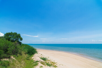 River to the Sea: Coastal Sandscape and Vegetation