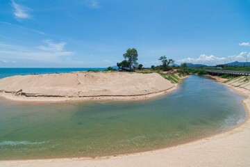 River to the Sea: Coastal Sandscape and Vegetation