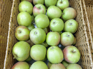 choosing fresh fruits (apples, pears)