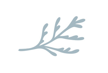 Simple hand drawn green branch cypress with round smooth leaves. Floral design winter element isolated on white background. Vector illustration