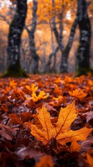  A solitary leaf nestled on forest floor, surrounded by an abundance of leaves, trees looming in background