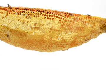 Honeycombs on wood stick with bees in a beehive on white background. Beekeeping, breeding and keeping bees.
