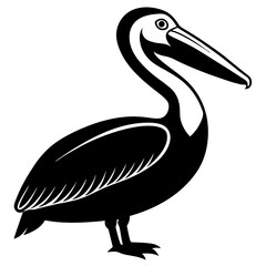 illustration of a pelican