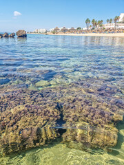 Naklejka premium Landscape in a beach in Hammamet, Tunisia