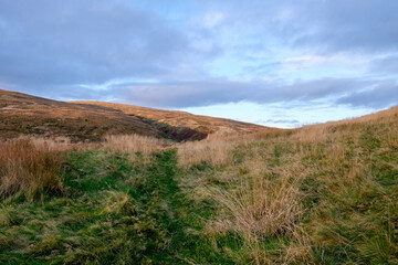 Fototapeta premium Sunset in the hills of Scotland with heather and clouds and blue skies