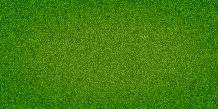 Green grass background, top view background of garden bright grass concept used for making green backdrop, lawn for sports field,