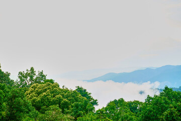 Obraz premium A mountain range is visible in the distance with a cloudy sky