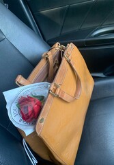 rose and classical woman bag on front of black car seat 
