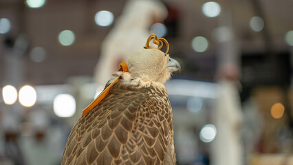 Flacon topped with a luxurious leather hood.