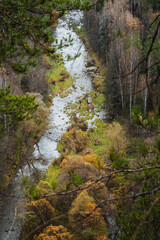 A river running through a lush green forest surrounded by trees