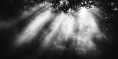  Ethereal black-and-white image of sunlight piercing through mist in a forest, creating a mysterious and serene atmosphere.