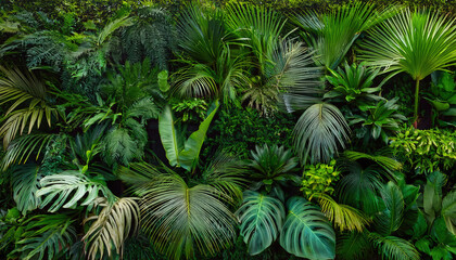 Green garden walls from tropical plants, best for web summer background.