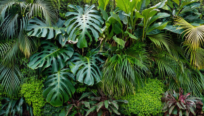 Green garden walls from tropical plants, best for web summer background.