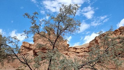 Beautiful mountain landscape. Nature background.