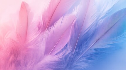 Fototapeta premium Soft Pastel Feathers