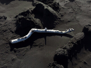&Uacute;lfseyjarsandur, Black Beach Near Dj&uacute;pivogur in Iceland