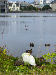 Reykjav&iacute;k cityscape, Iceland