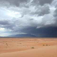 A vast desert landscape with dark clouds overhead