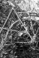 cabane de pêcheurs ostréicoles sur l'île d'Oléron en France