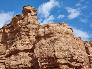 Fototapeta premium beautiful view of the mountains 