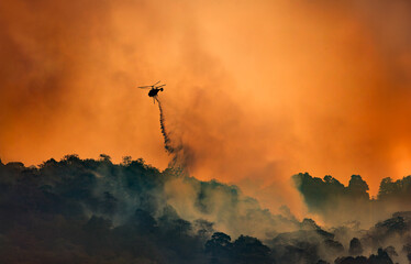 Fire fighting helicopter carry water bucket to extinguish the forest fire.