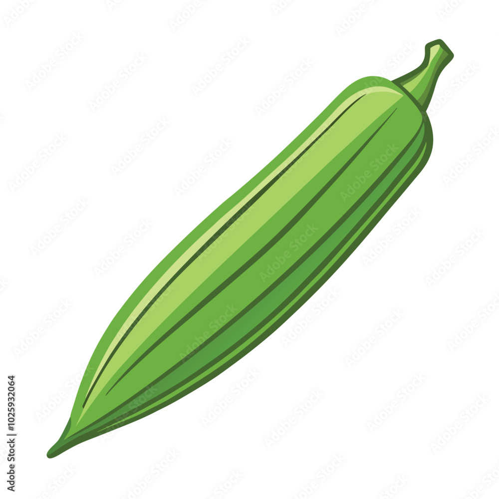 Wall mural okra vector illustration isolated on a white background