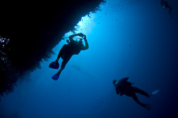 Red Sea Underwater Wonders: Scuba Diving, Marine Life, Corals & Sea Creatures