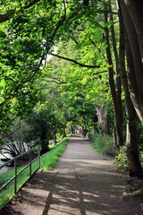 Dreisamuferweg in Freiburg im Herbst