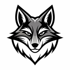 Fototapeta premium coyote