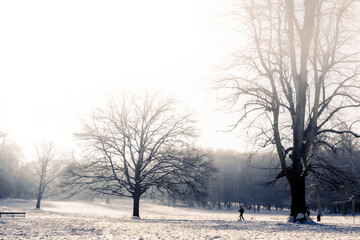 Snowstorm hits the city of Brussels, Belgium. Landscape view of Bois de la Cambre park.