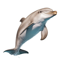 Fototapeta premium A jumping dolphin creates a splash in the clear blue ocean during sunlight hours near the coast