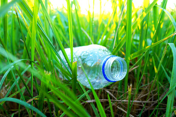 Plastic bottle in grass. Discarded plastic bottle. Throwing garbage in nature, pollution. Waste...