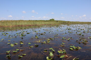 Parc National des Everglades, Floride