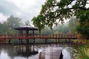 Traditional Japanese garden in Wroclaw Poland in rainy day