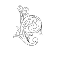 Floral or scrollwork illustration