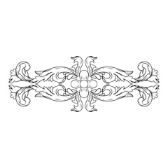 Floral scrolls illustration
