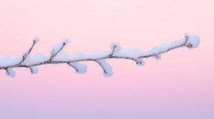 Obraz premium Lone Snow-Covered Branch with Delicate Frost Against Pastel Dawn Sky, Minimalist Composition with Copy Space