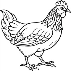 Chicken silhouette vector illustration