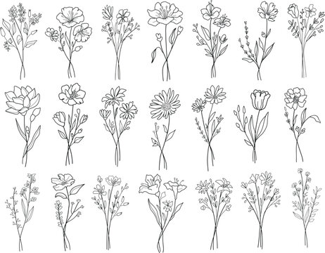 Set of different line art flower bouquets. Hand drawn botanical vector set. Trendy floral wildflowers, leaves set.