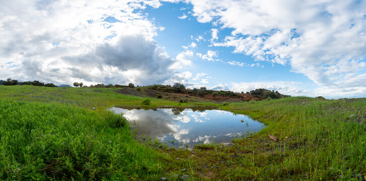 Panoramic view of a tranquil countryside pond