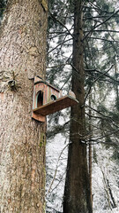 bird feeder on a tree in a snowy forest