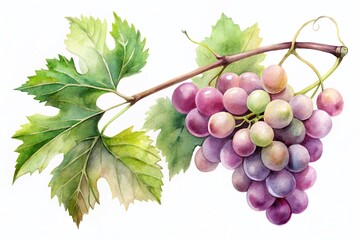 Minimalist Watercolor Grape Twig Art for Modern Decor