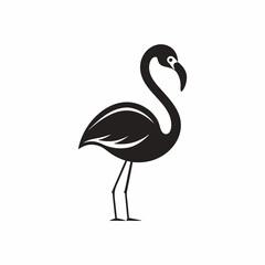 Fototapeta premium FLAMINGO 