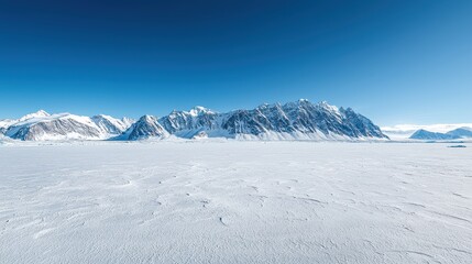 A breathtaking snowy landscape featuring expansive ice fields and majestic mountains under a clear blue sky.