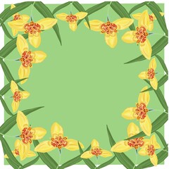 frame with flowers flower, tulip, yellow, spring, nature, plant, beauty, blossom, bloom, floral, leaf, petal, flora, lily, flowers, garden, daffodil, bouquet, closeup