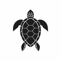 Obraz premium Hawksbill Turtle