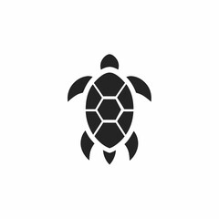 Fototapeta premium Hawksbill Turtle