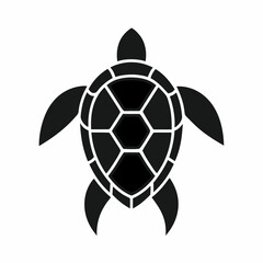 Obraz premium Hawksbill Turtle