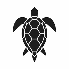 Obraz premium Hawksbill Turtle