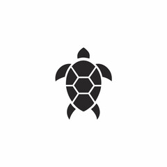 Obraz premium Hawksbill Turtle